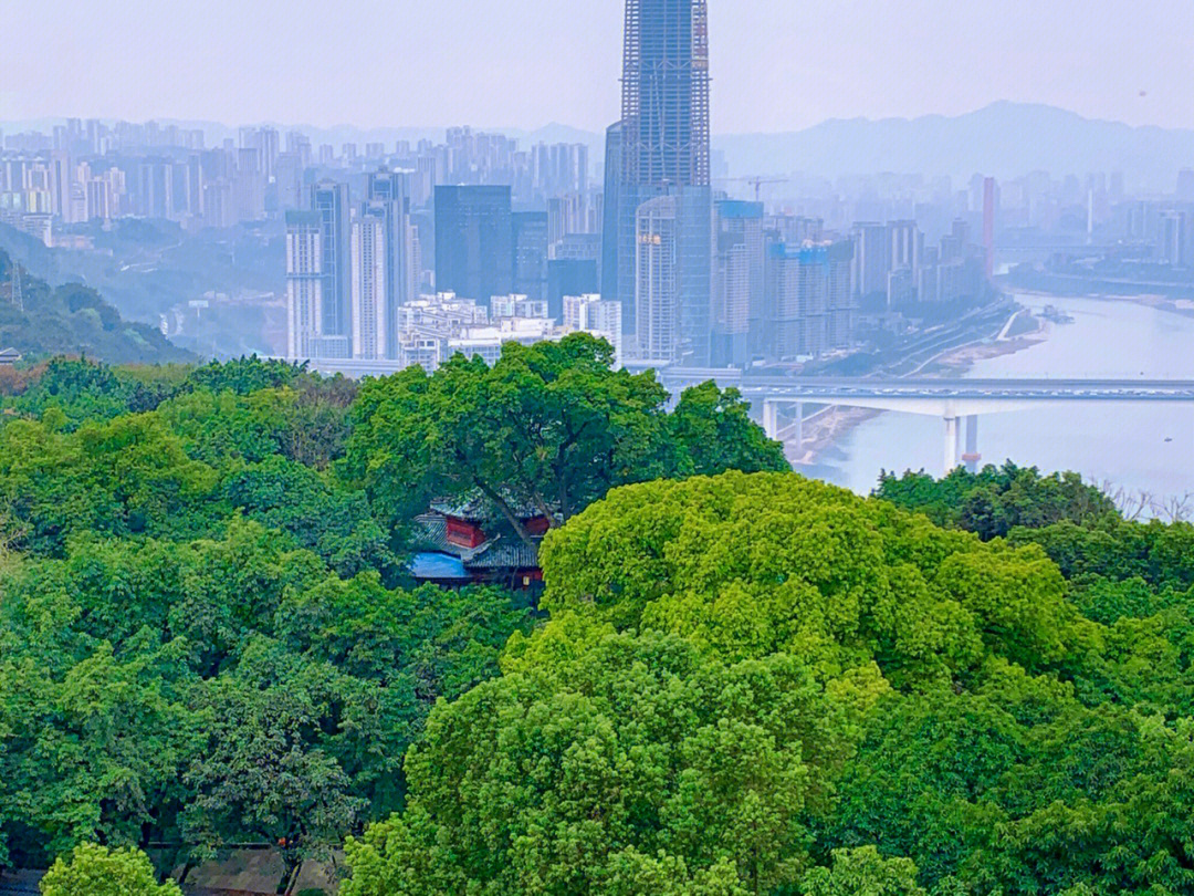 重庆鹅岭公园简介图片