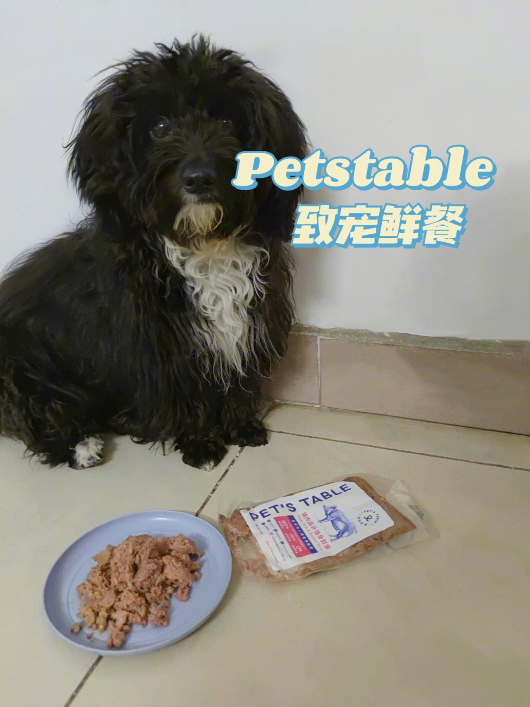 狗狗发情期的营养加餐petstable致宠鲜