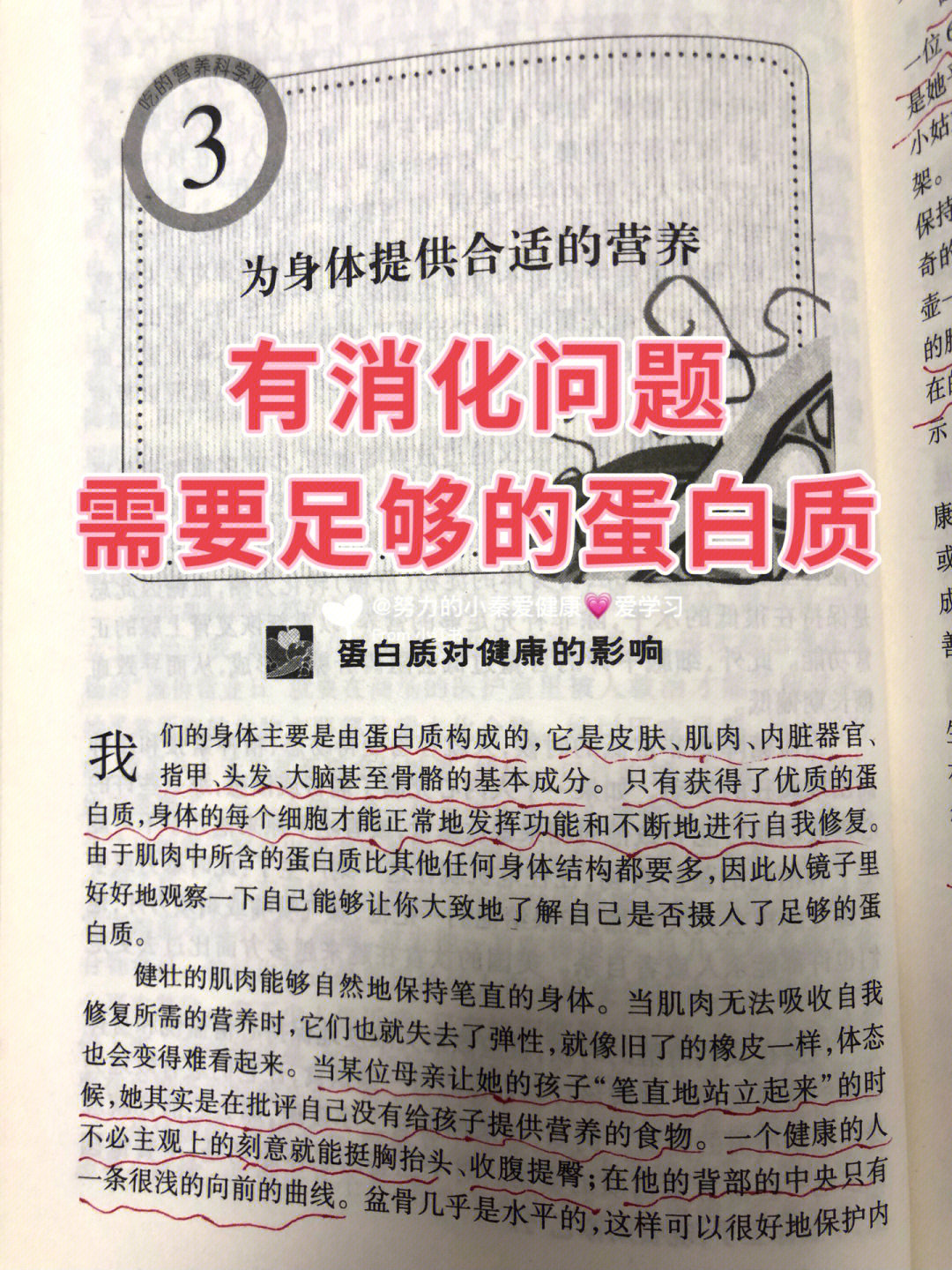 有消化问题你是缺乏蛋白质