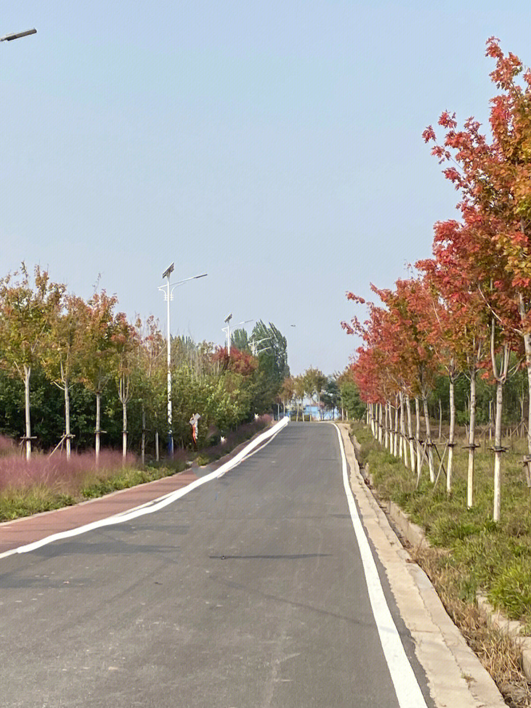 观岭山风景道