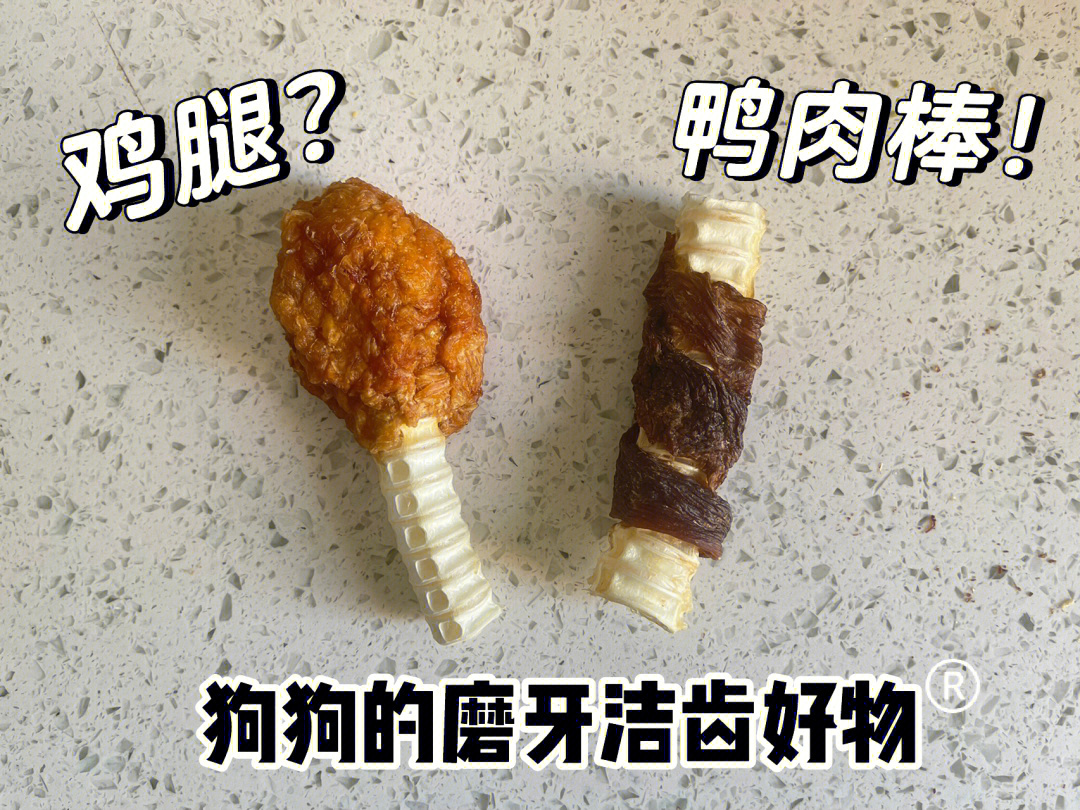 鲨鱼骨磨牙