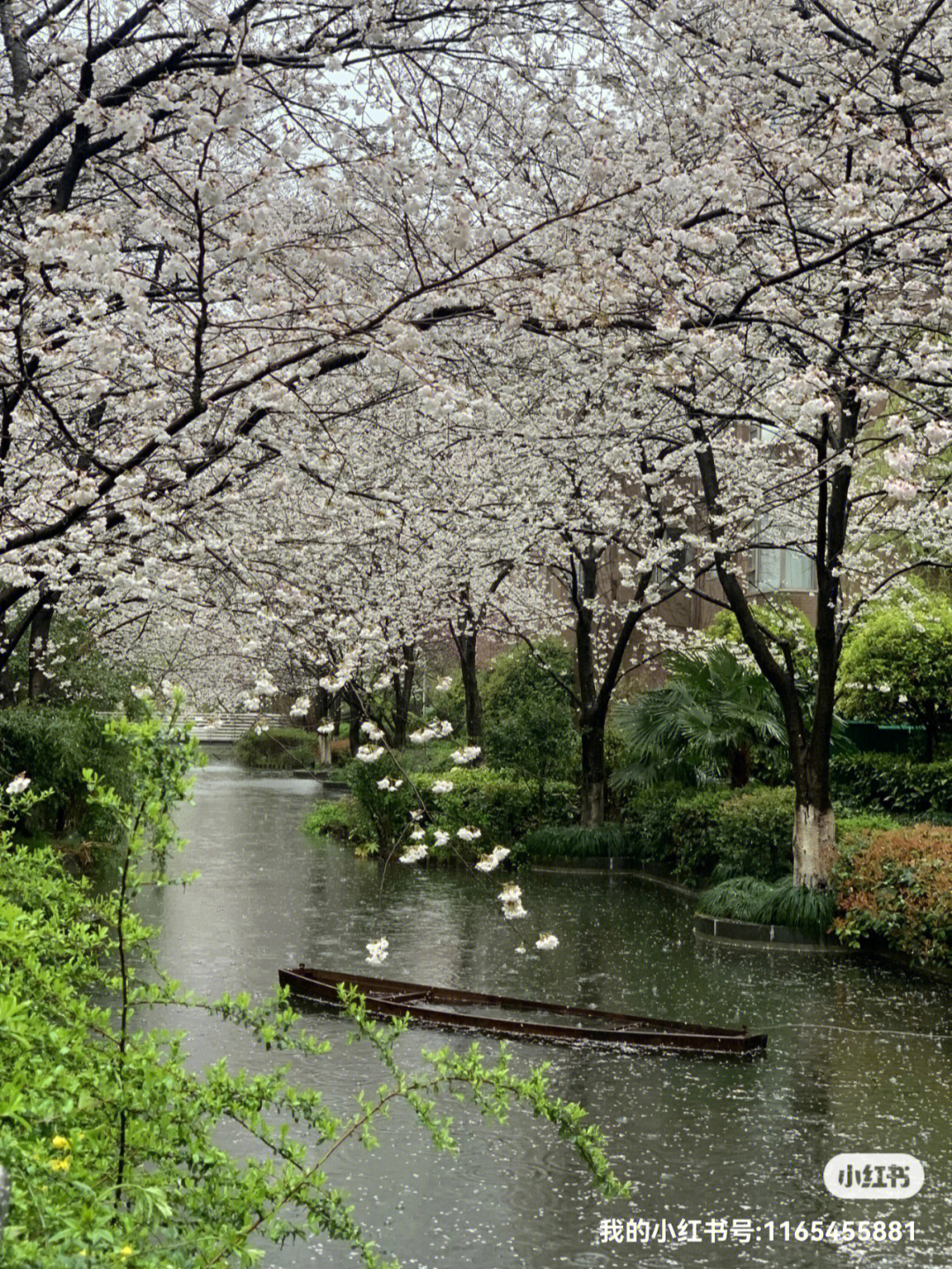 雨中即景图片配诗图片