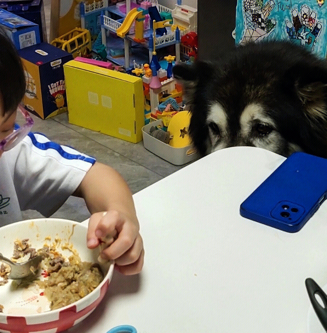 老板赏口饭吃搞笑图片图片