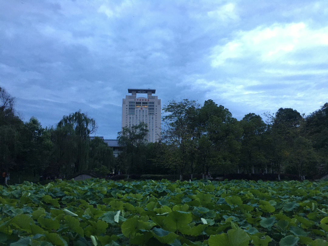 大千国际酒店图片