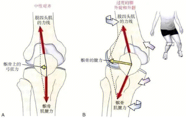 膝关节运动图图片