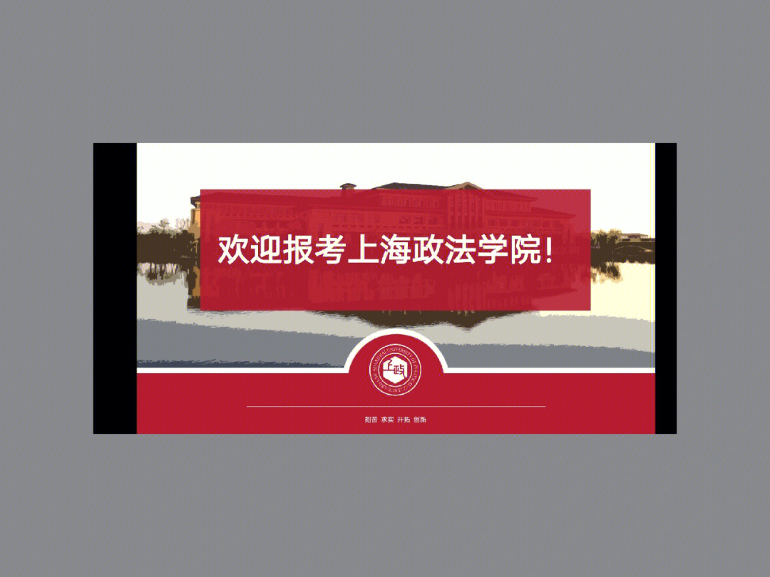 上海政法学院校花图片