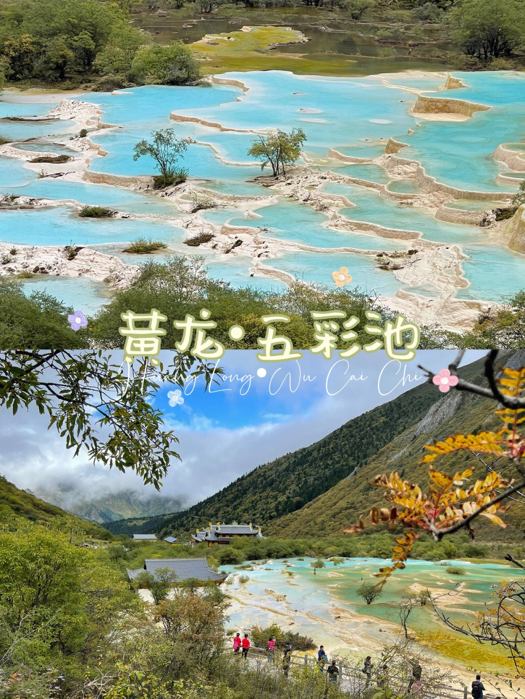 五彩池的石笋图片图片