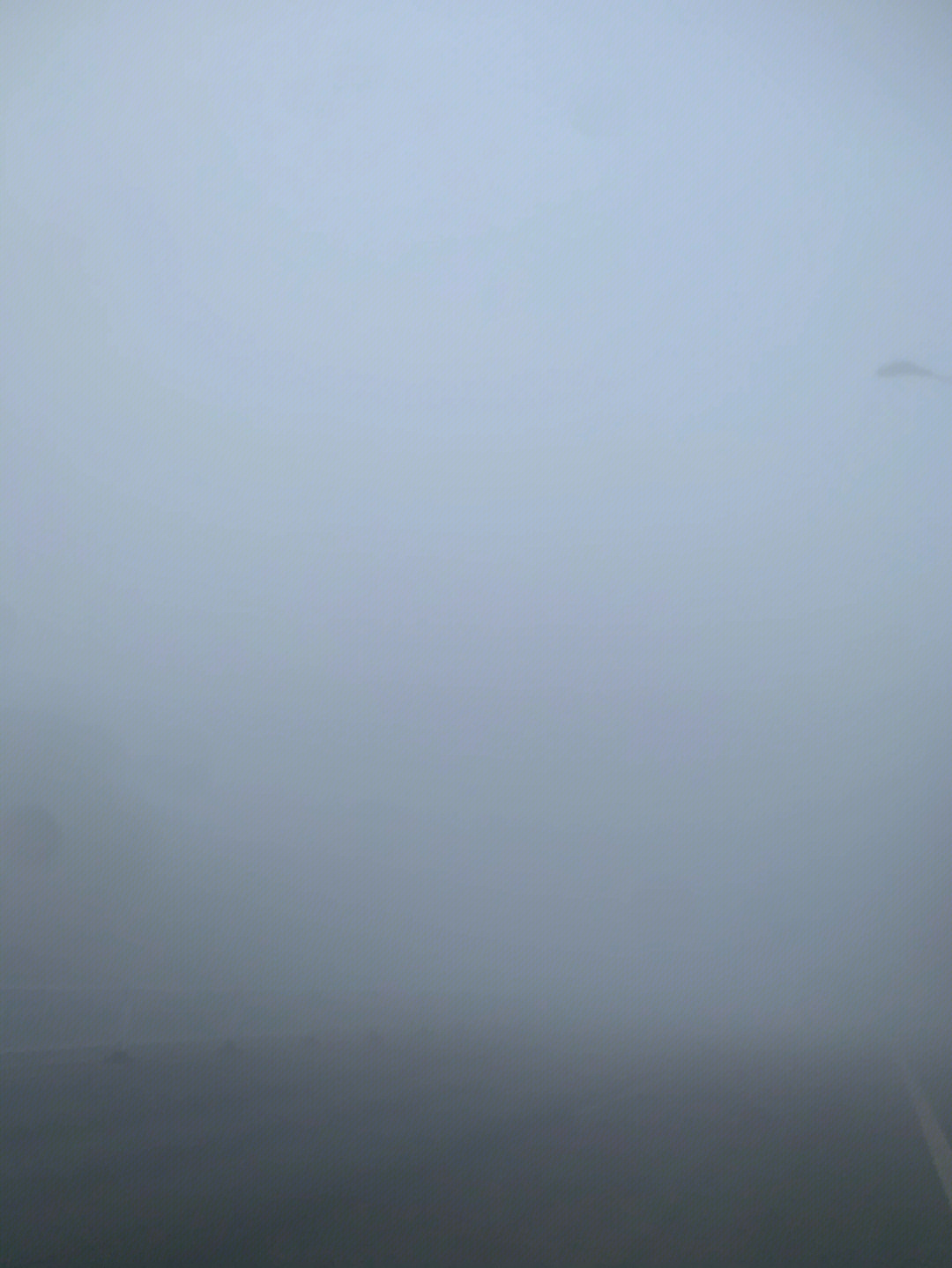大雾天气表情包图片