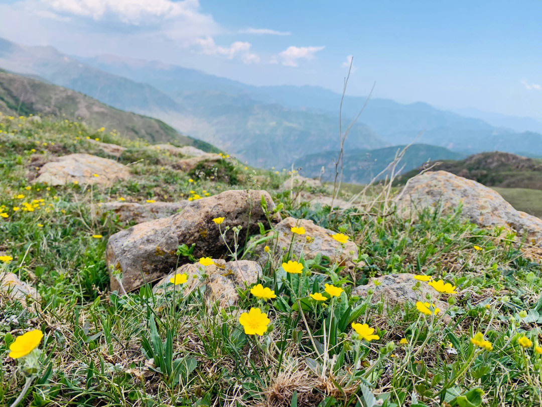 越岭又翻山藏机图图片