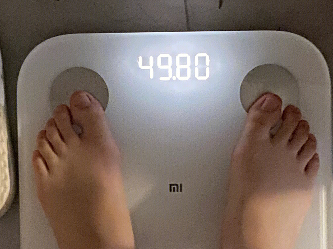 7月26日 498kg