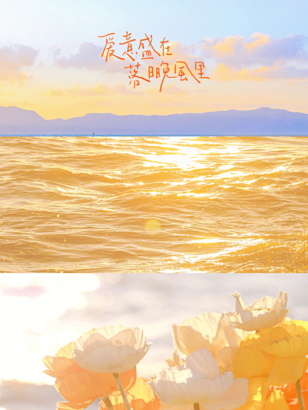 橘子海背景图图片