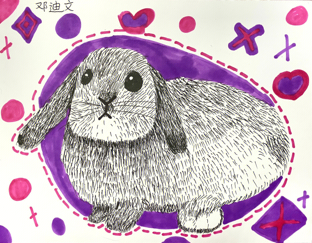 兔子黑白线描画教案图片