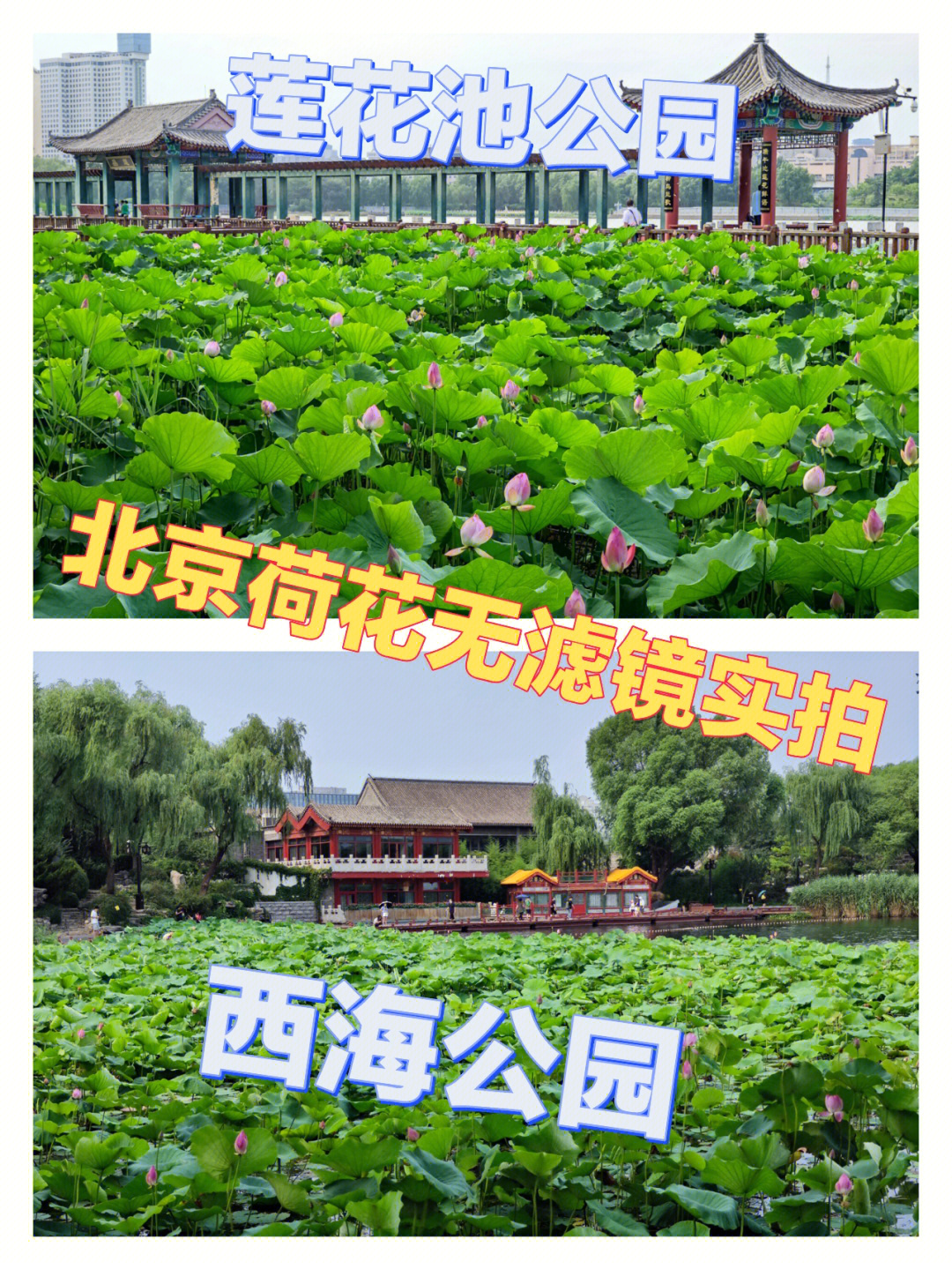 北京莲花池公园平面图图片