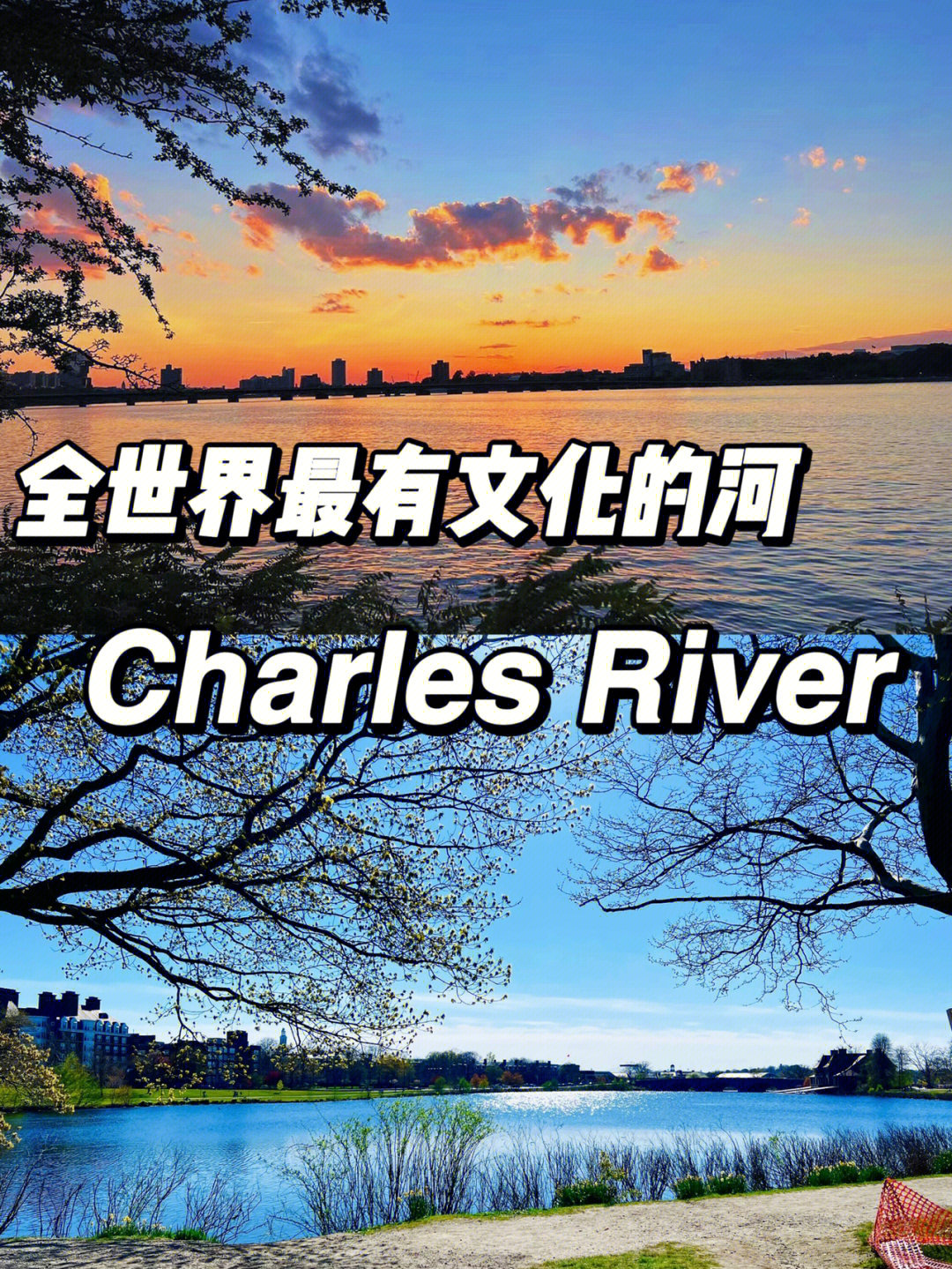 生活世界上最有文化之河查尔斯河