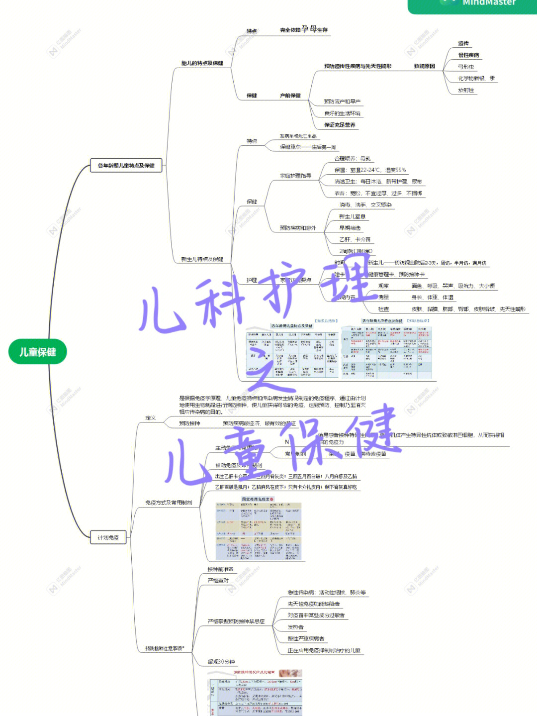 幼儿健康思维导图图片