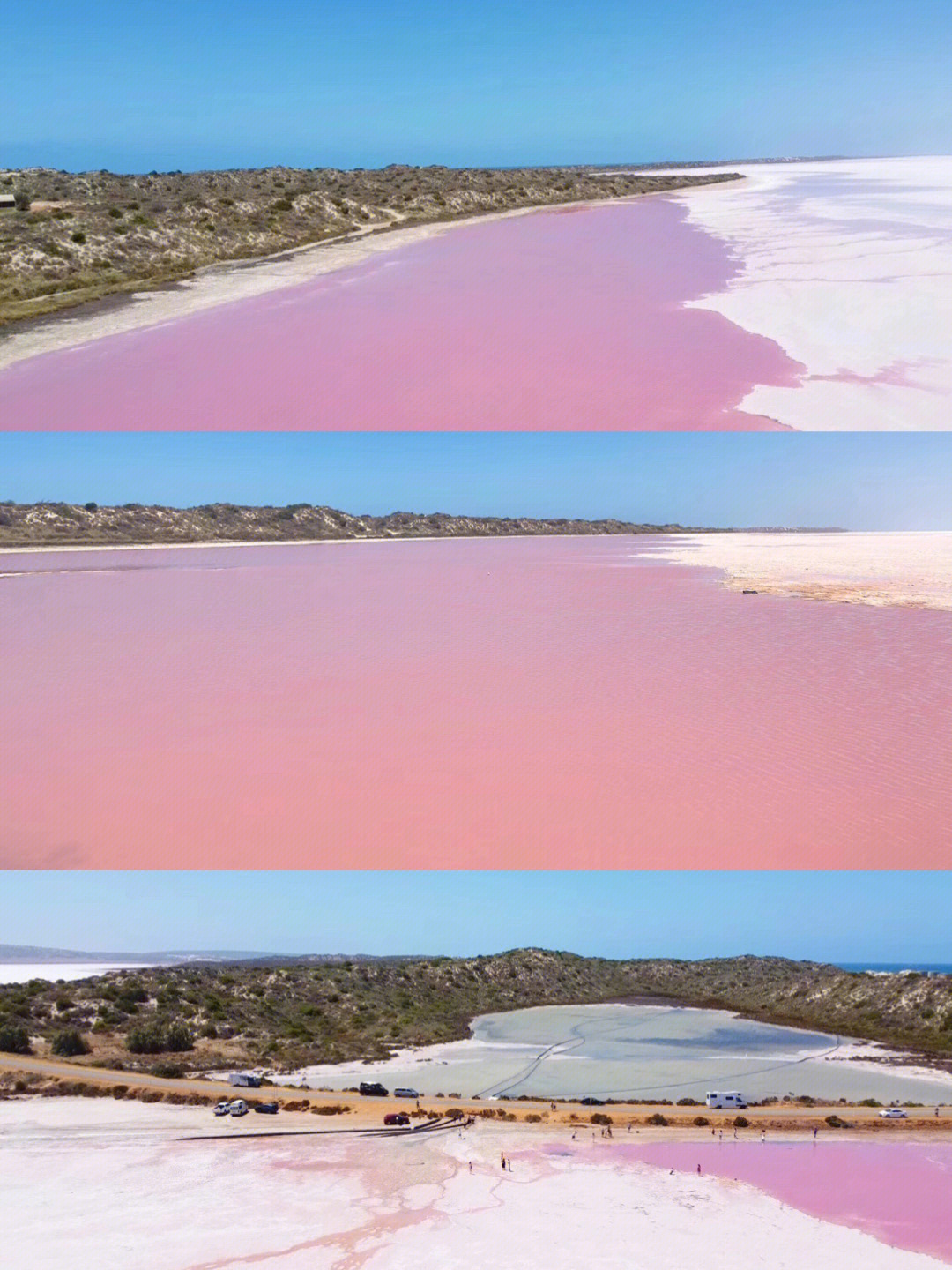 澳洲粉湖一生一定要去的粉色星球