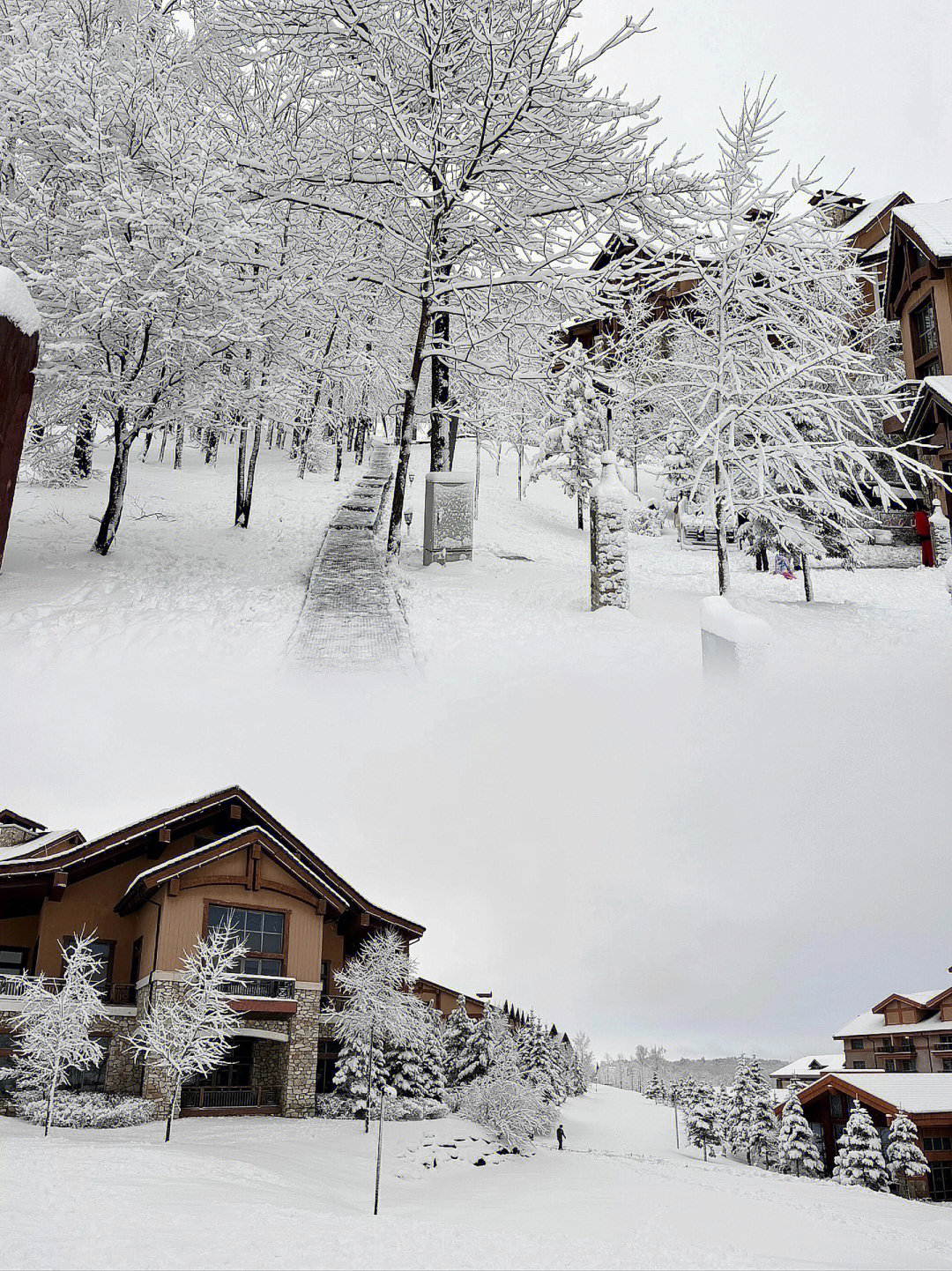 大连城堡酒店雪景图片