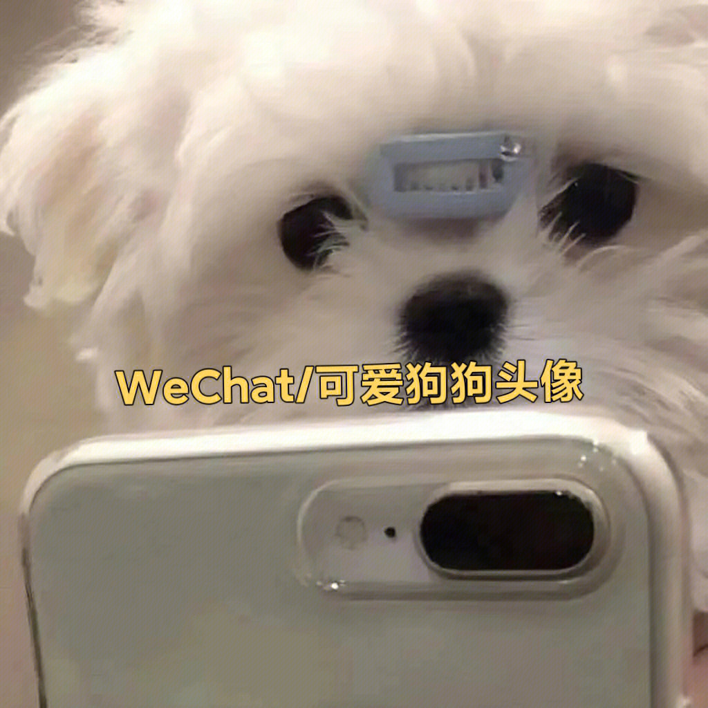 狗狗鼠标头像图片