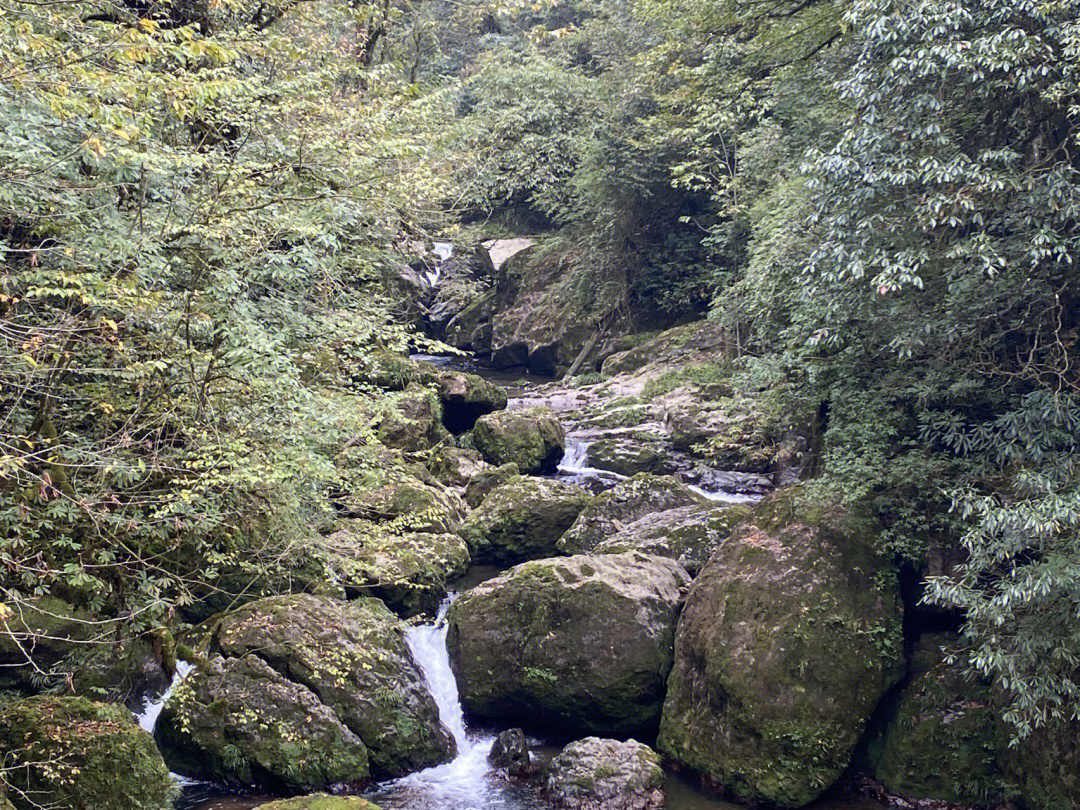 成都周边游龙苍沟森林公园