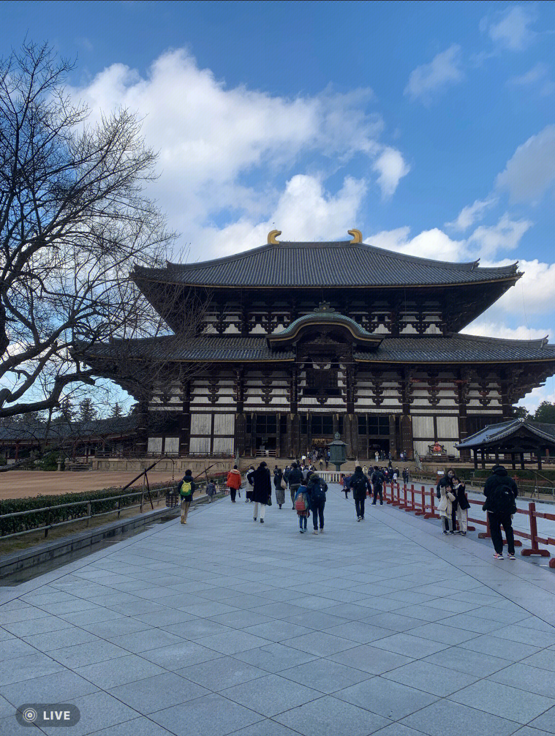 奈良東大寺是世界最大的木造建筑群.