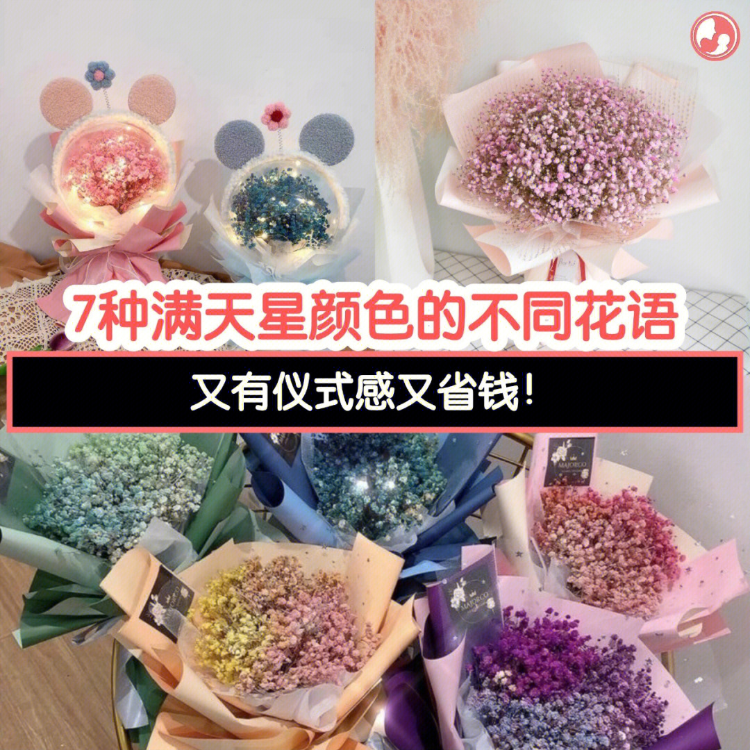 满天星的花语颜色图片