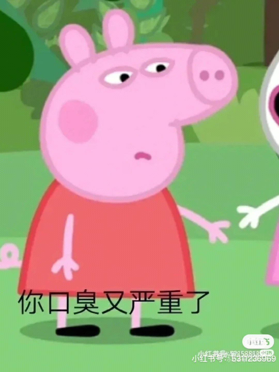 小猪佩奇