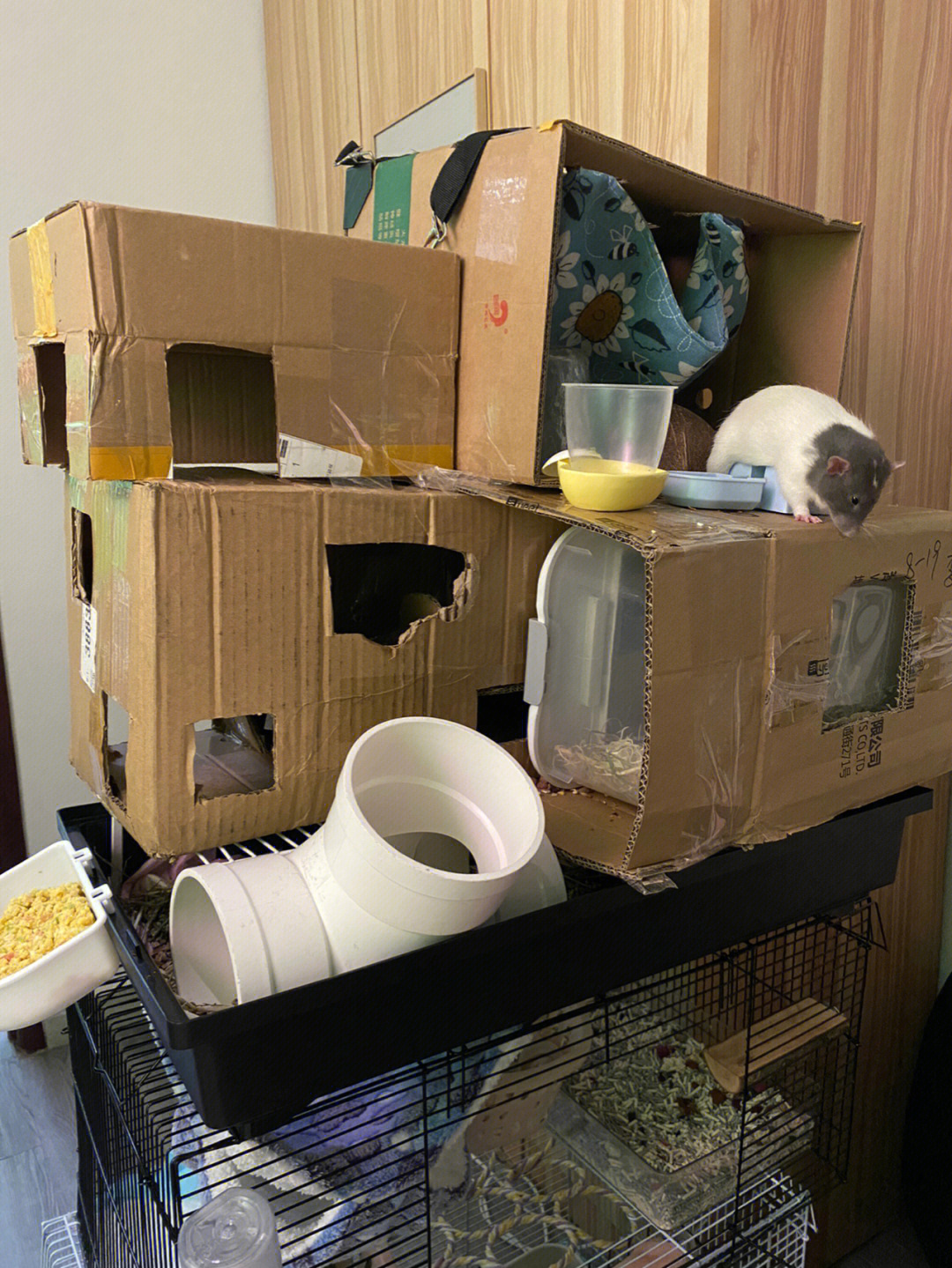 用纸箱做仓鼠房子别墅图片