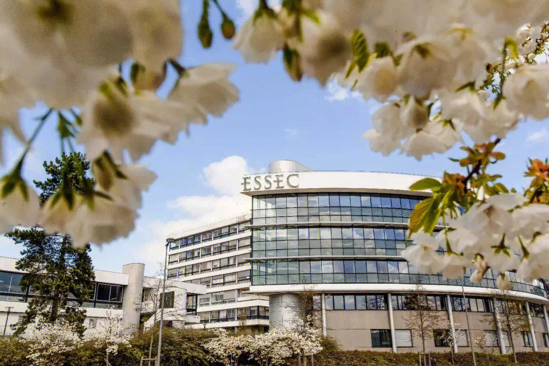 商学院排名欧洲第6essec高等商学院