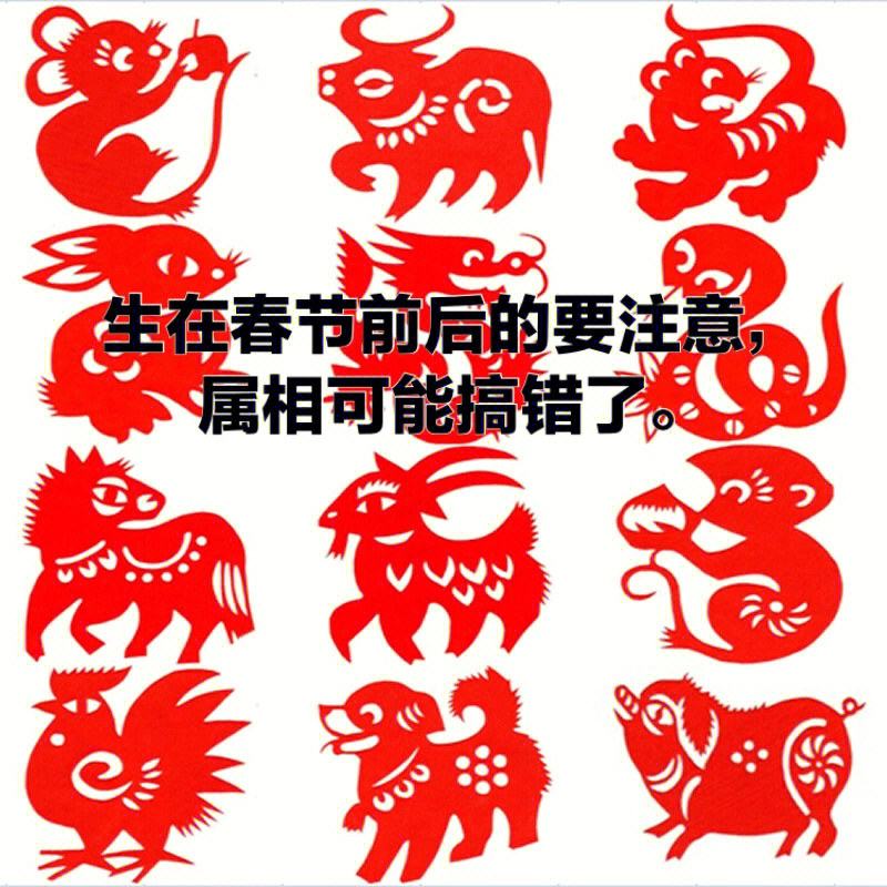 过年生肖接班图图片