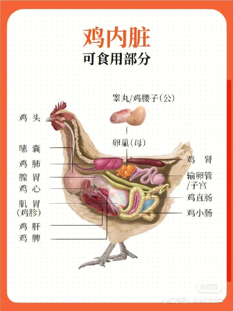 起源干17世纪的江户时代,当时,禁食牛肉,鸡肉等的幕府禁令尚未解除,吃