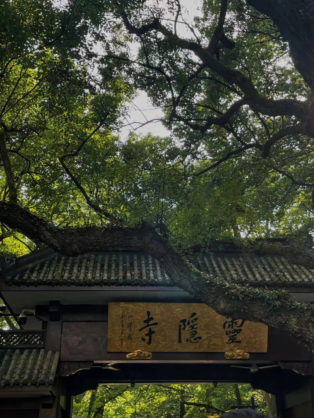 飞来峰大昭寺图片