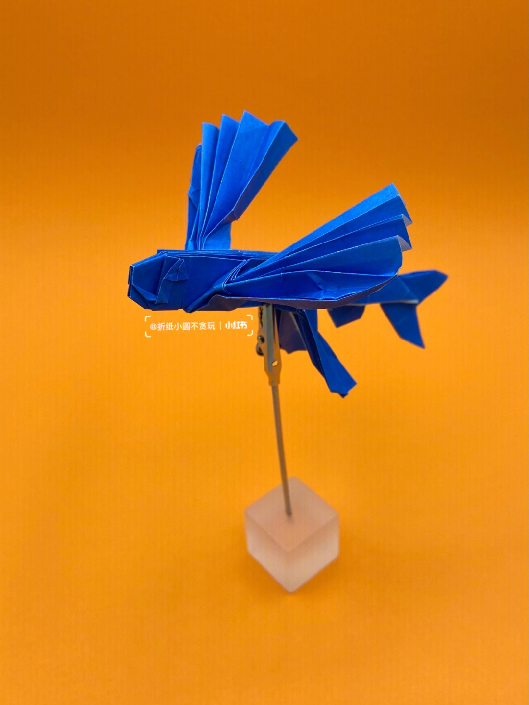 数学飞鱼模型图片