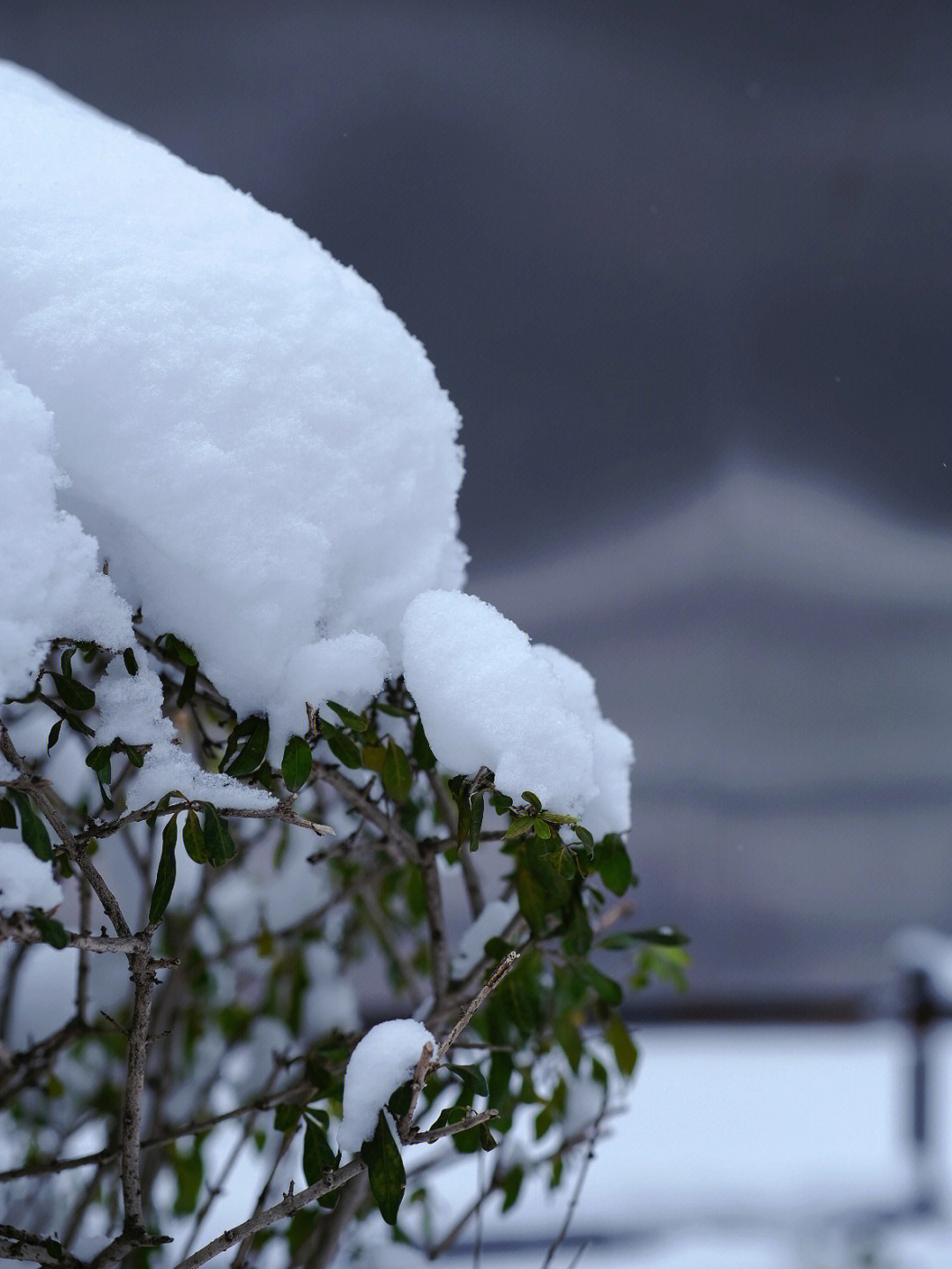 雪景摄影作品欣赏图片