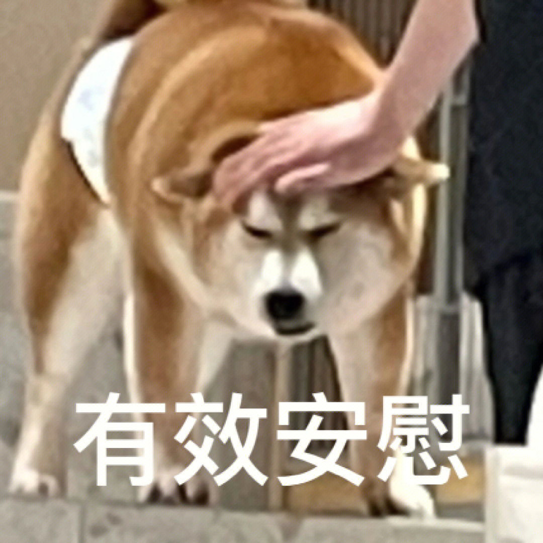 表情包  