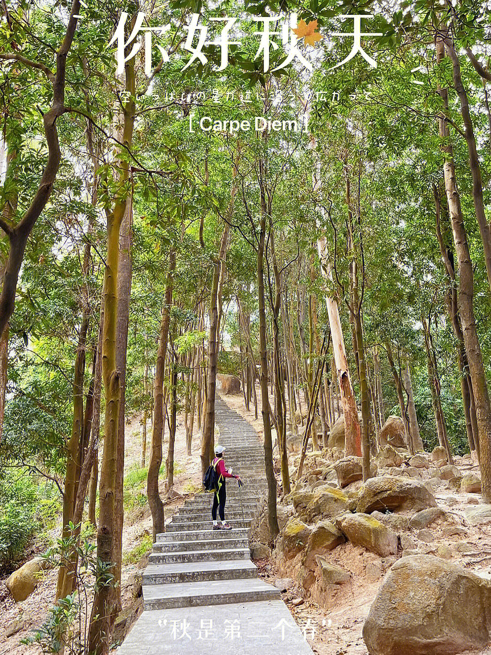 鹿寨山环山步道的介绍图片