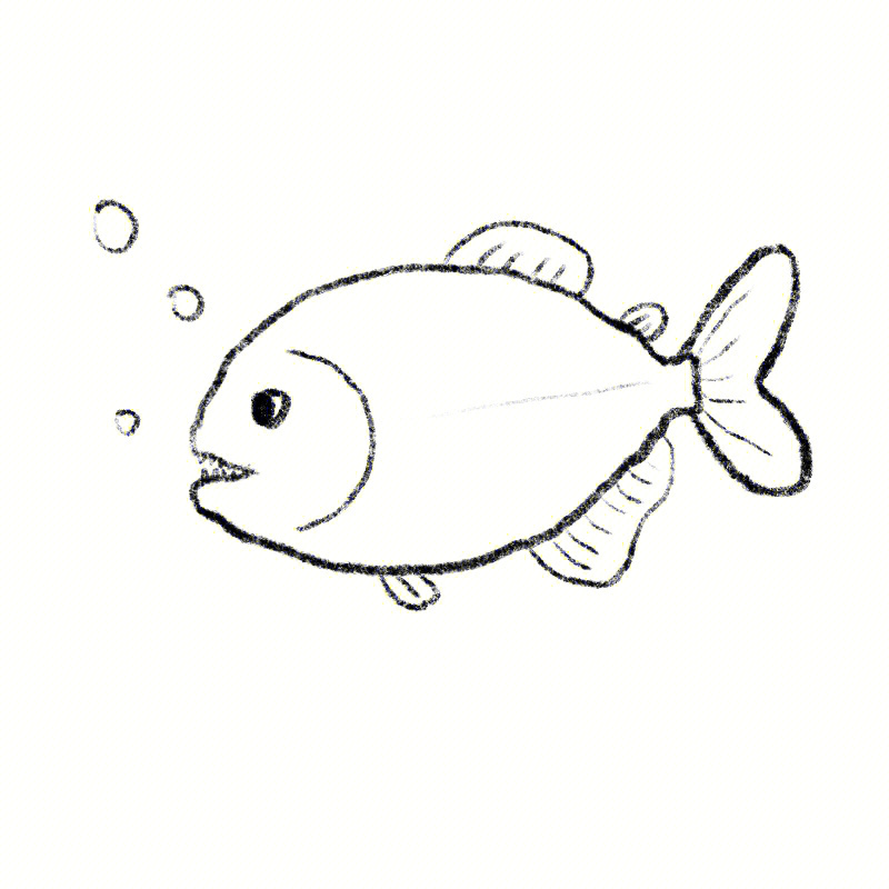 红腹食人鱼简笔画图片