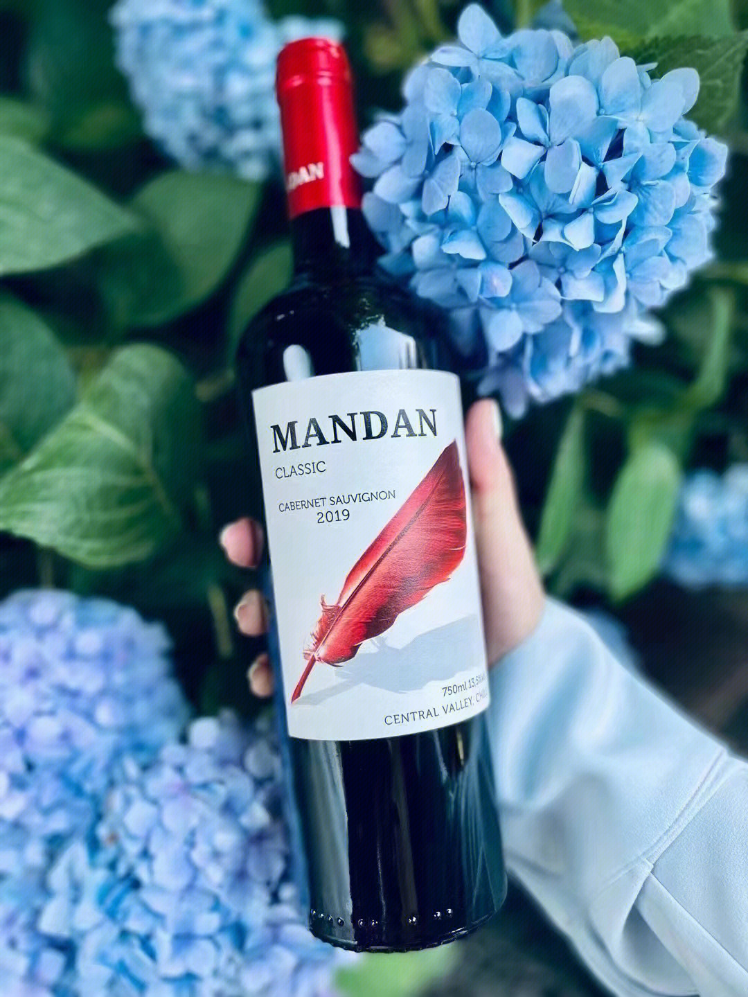 mandan红酒价目表图片