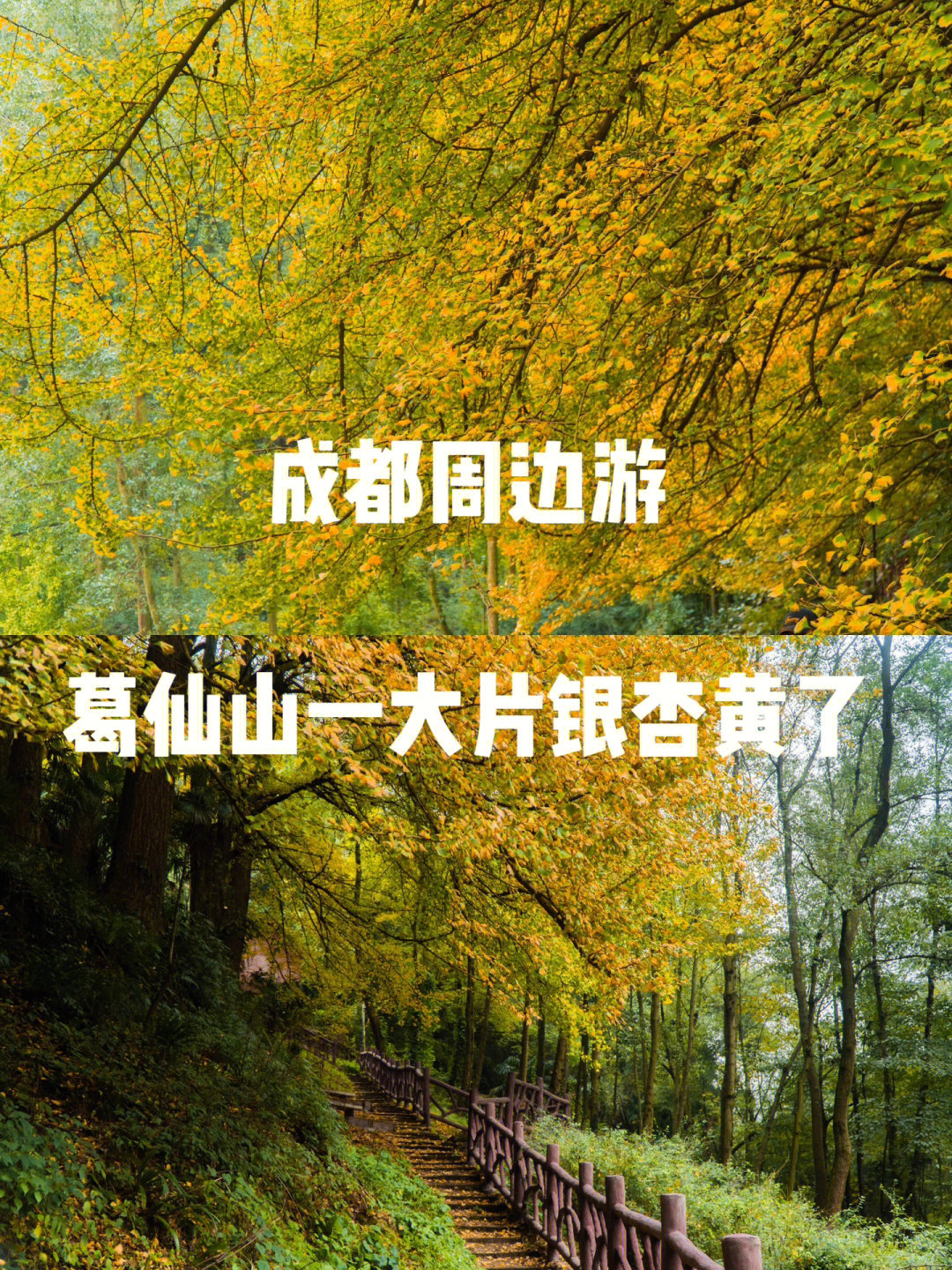 彭州葛仙山风景区门票图片