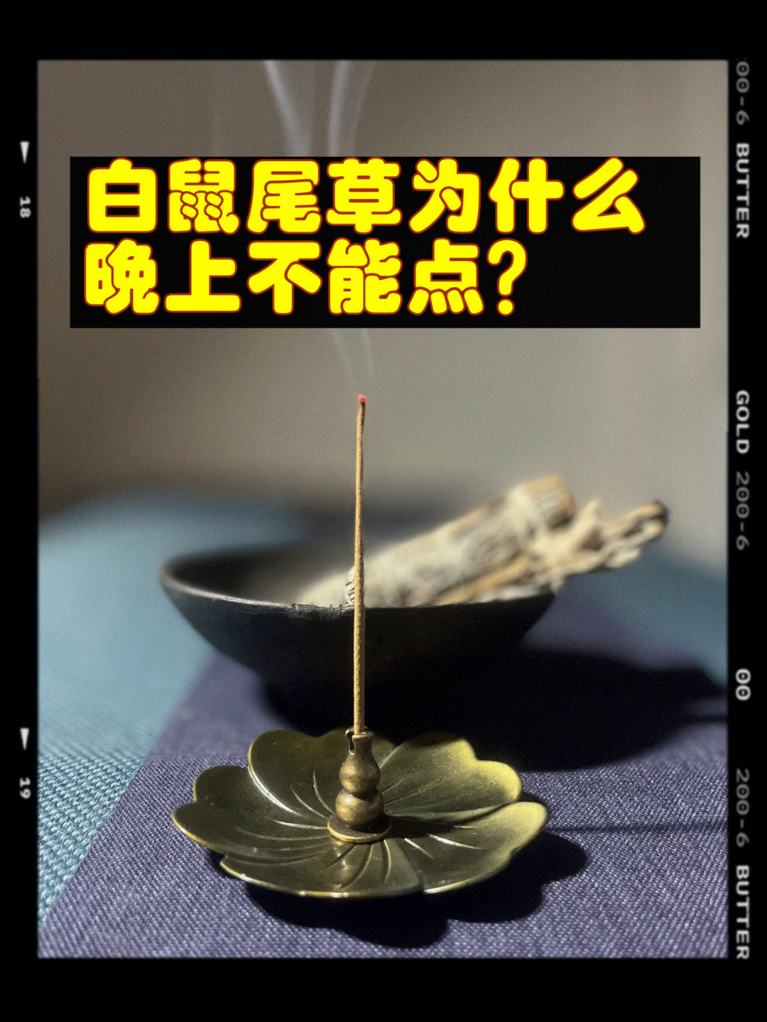 白鼠尾草为什么晚上不能点