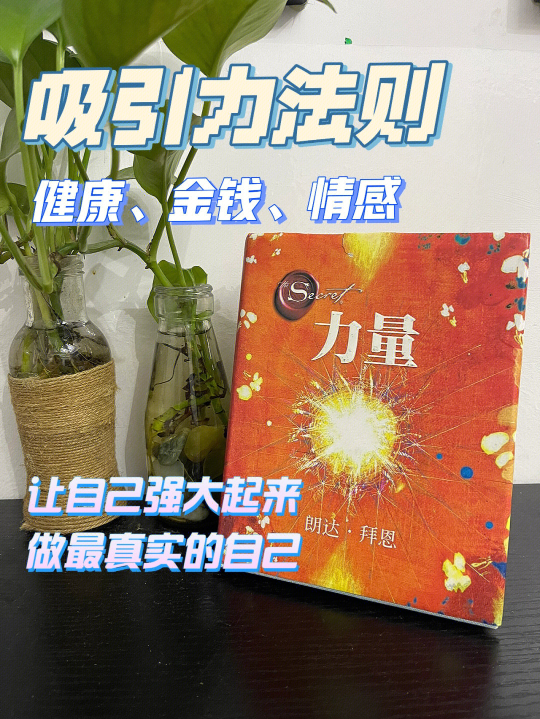 自我心灵疗愈吸引力法则给你力量