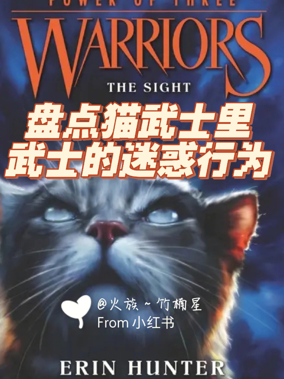 猫武士小耳图片