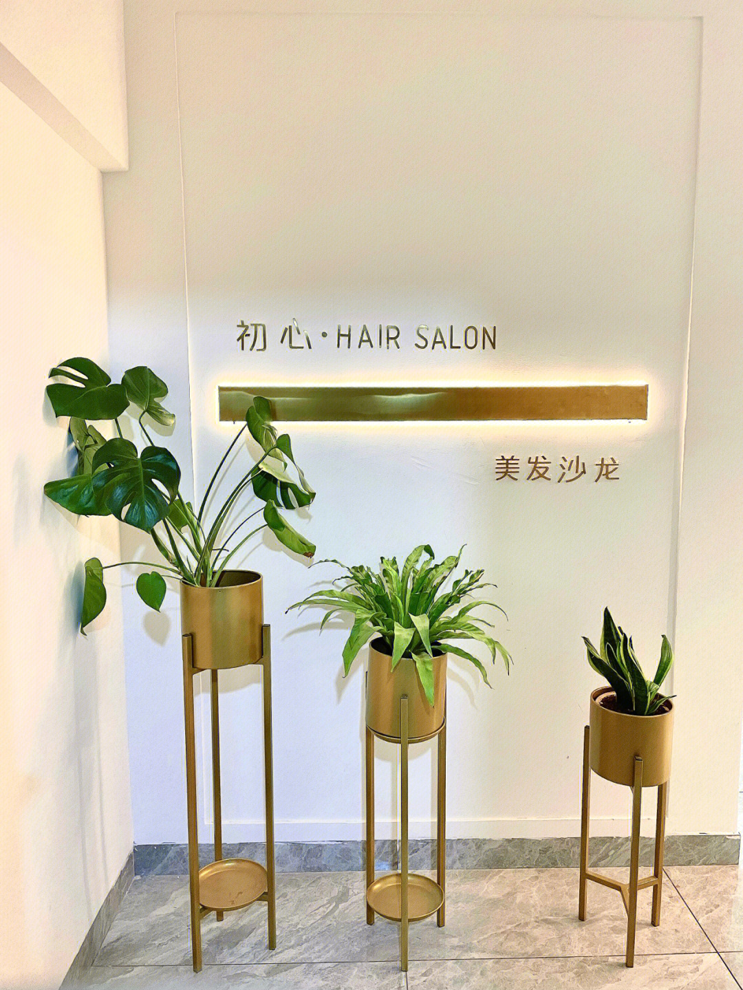 97 店铺:初心·hair salon美发沙龙99地址:滇东佳园5楼因为我有