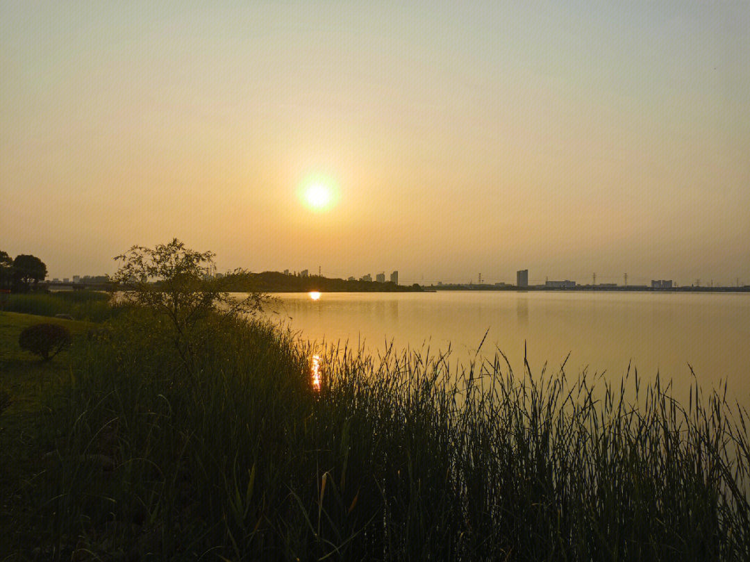 苏州相城区盛泽湖图片