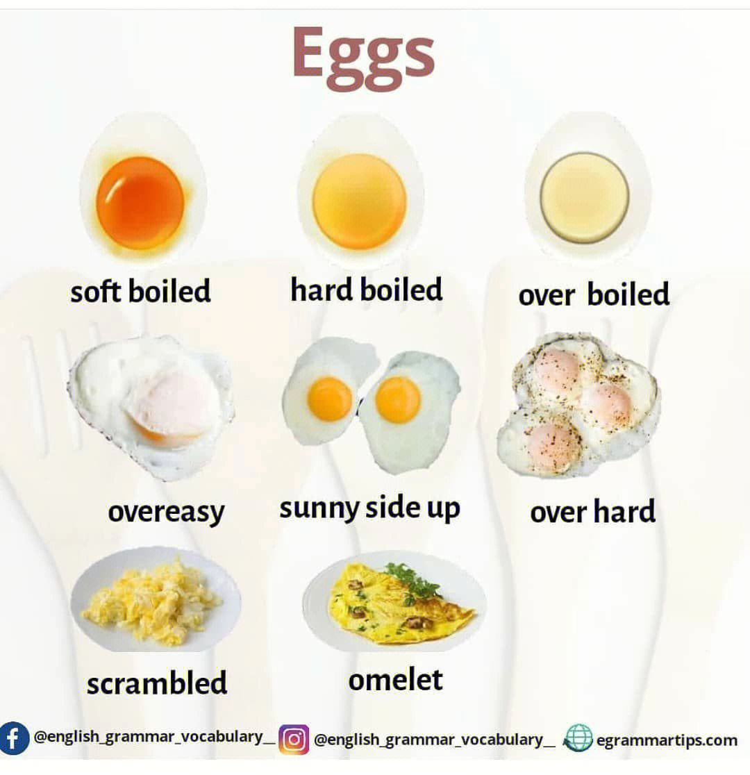 鸡蛋的英语怎么写图片