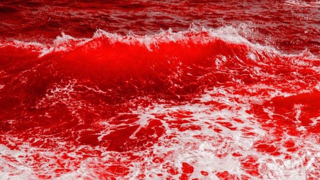 eva红色的海壁纸图片