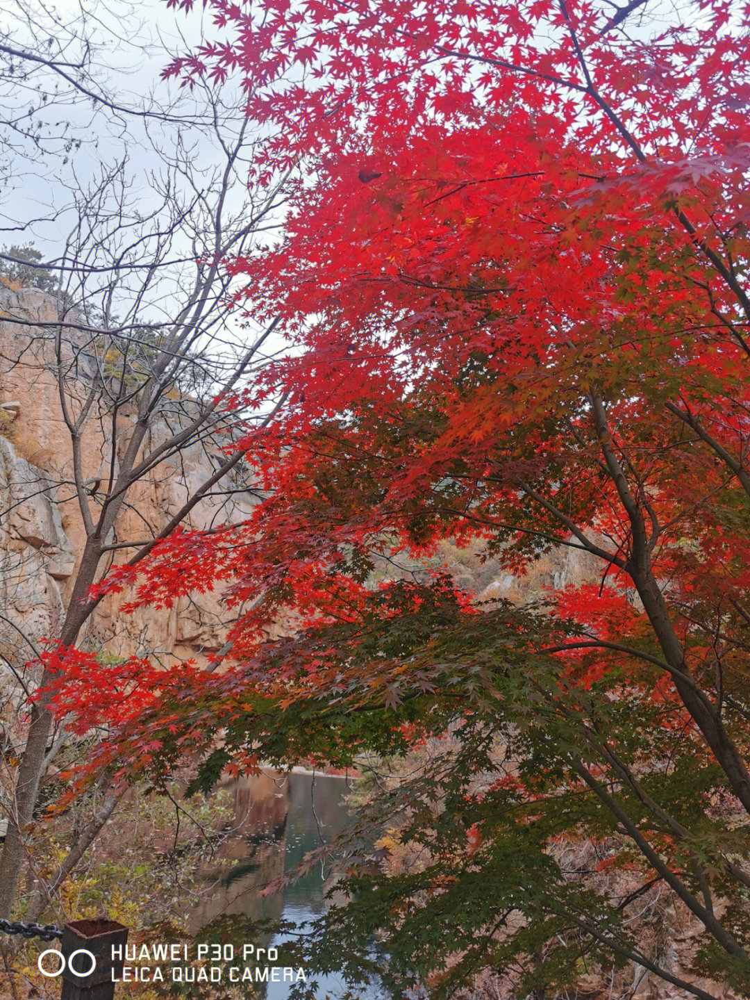 崂山北九水秋天图片图片