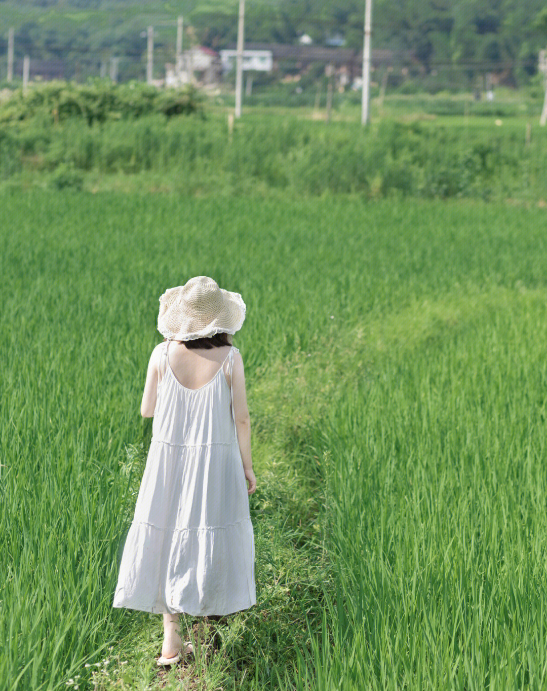 田原写真图片