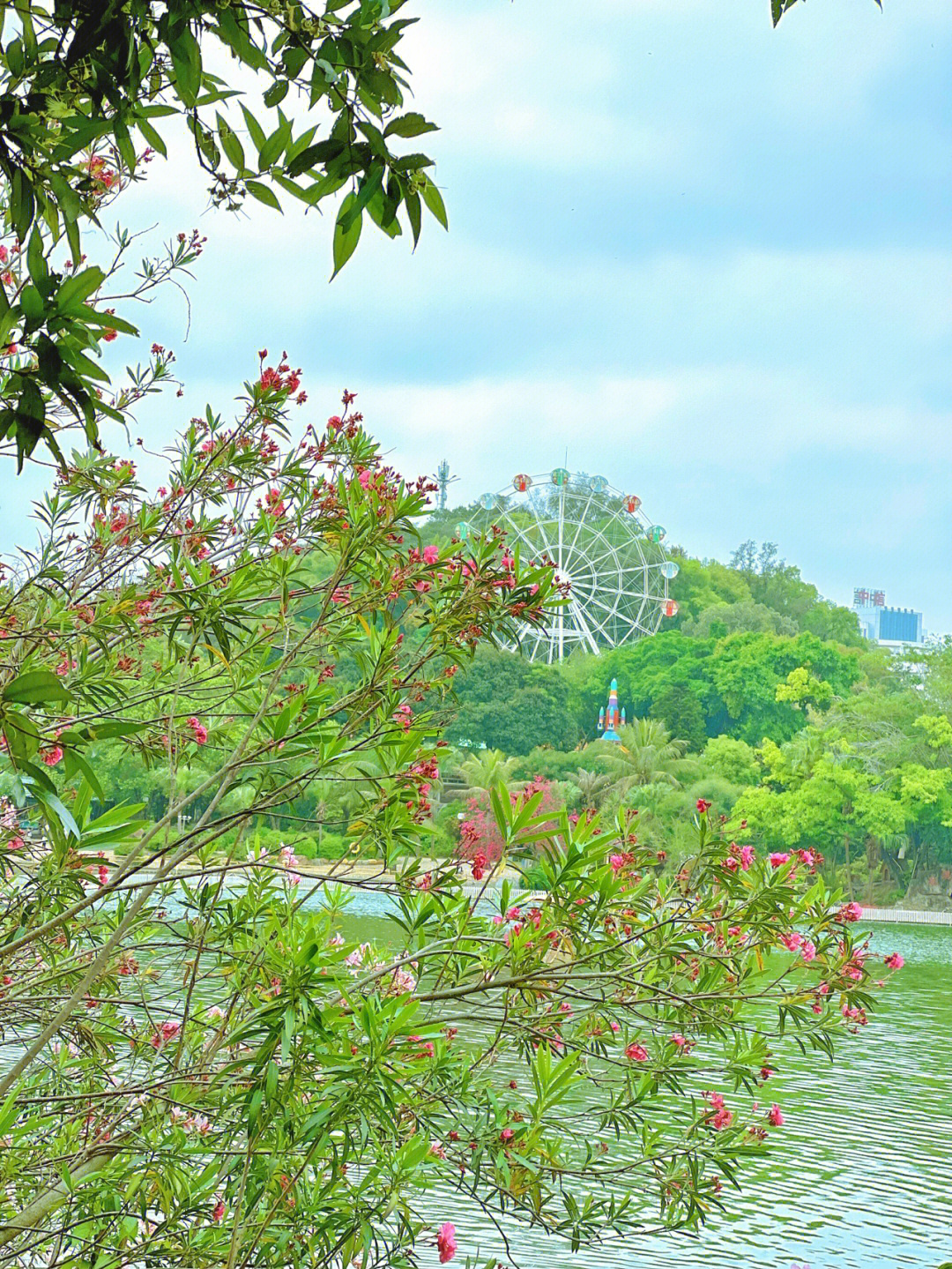 江门东湖公园风景图片