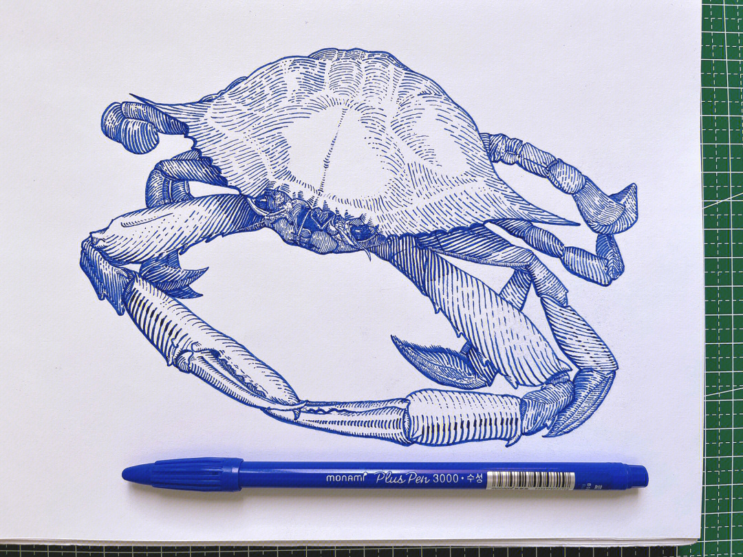 螃蟹线描画 教师图片