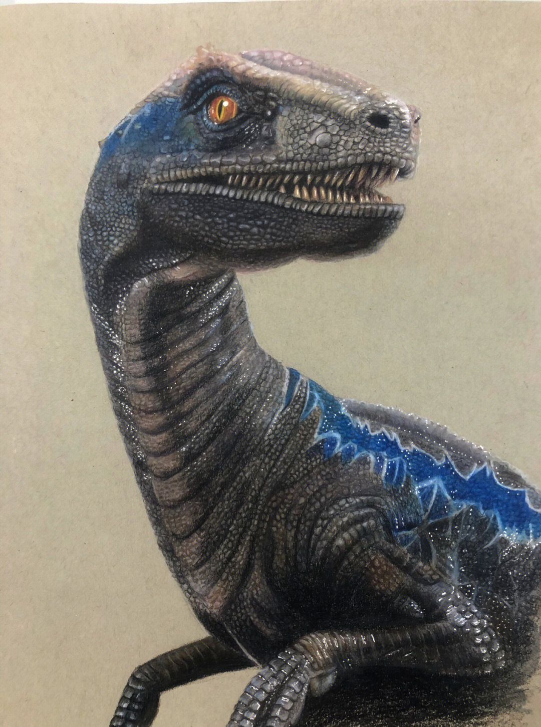 恐龙世界画画 侏罗纪图片